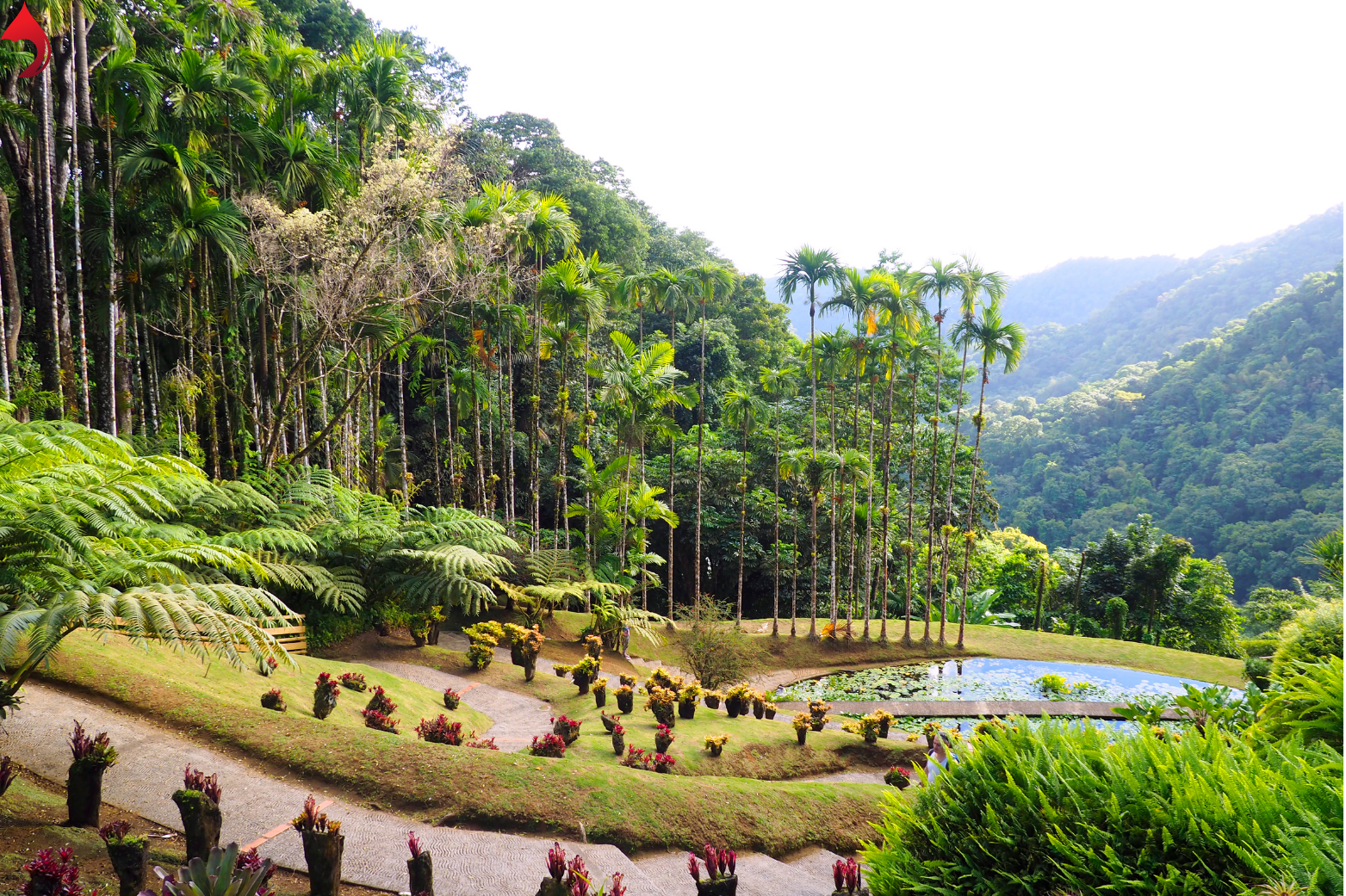 Martinique