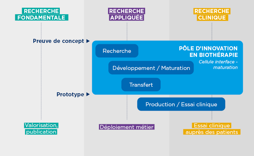 La recherche à l'EFS BFC