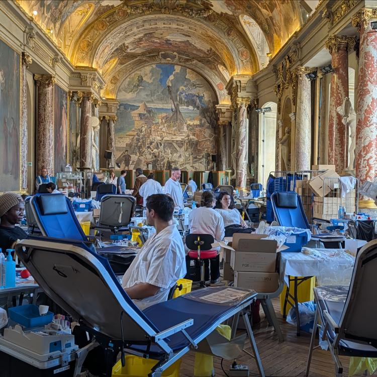 Collecte MSPLA au Capitole de Toulouse