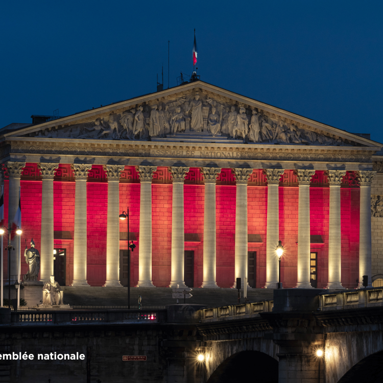 Assemblé nationale en rouge