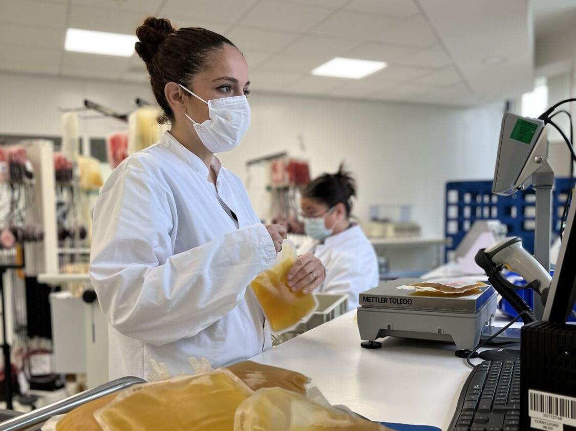 Préparation des poches de plasma à Nancy