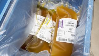 Poche de plasma_EFS_Lionet Rault