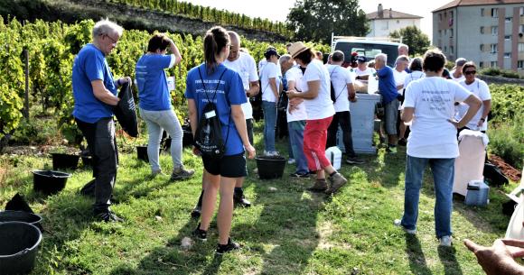 Vendanges du Coeur Chapoutier